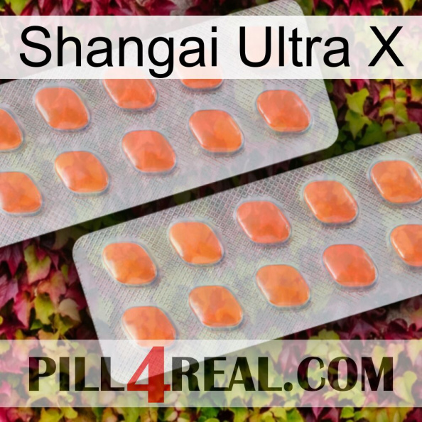 Shangai Ultra X 27.jpg